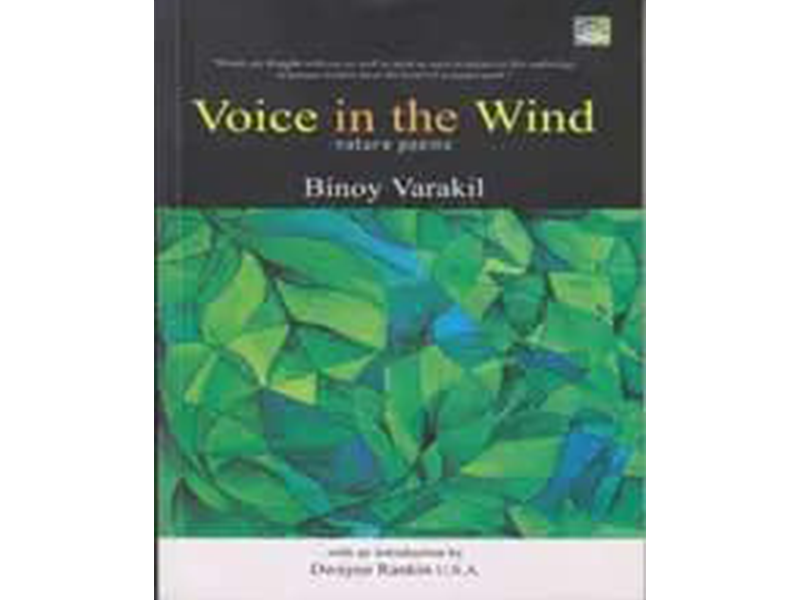 VOICE IN THE WIND